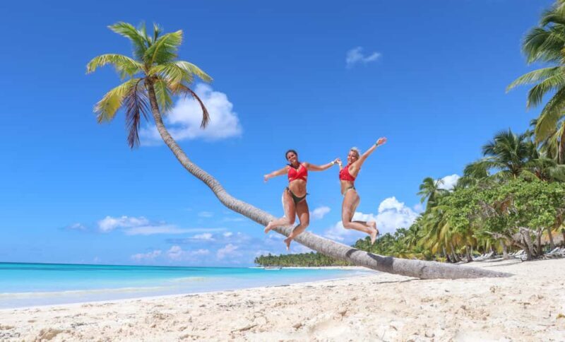 Punta Cana: Saona Island Catamaran - Key Points