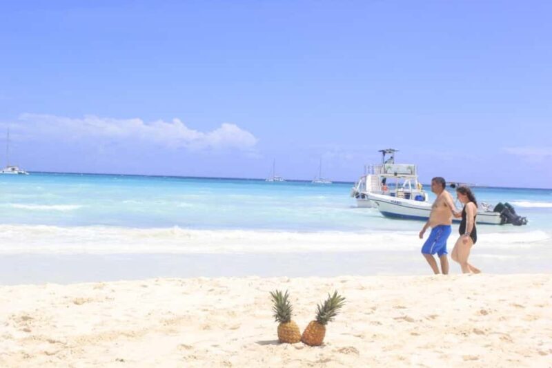 Punta Cana: Saona Island Catamaran Tour & Buffet Lunch - Key Points