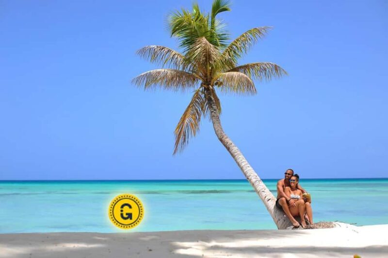 Punta Cana: Saona Island Day Tour and Catamaran Party - Visitor Perspectives: Authentic Insights