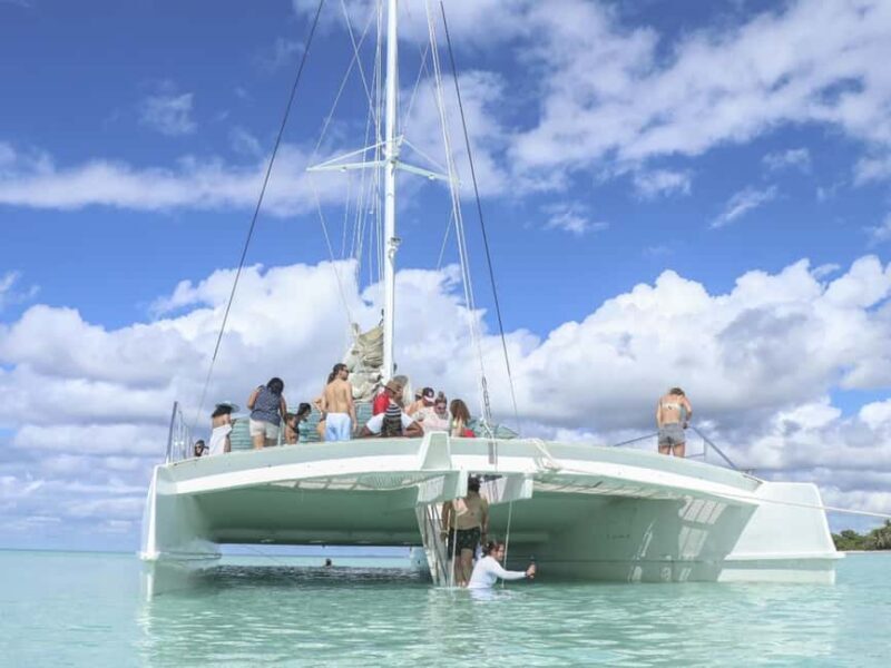 Punta Cana: Saona Island Day Trip with Blue Lagoon & Lunch - An Introduction to the Experience