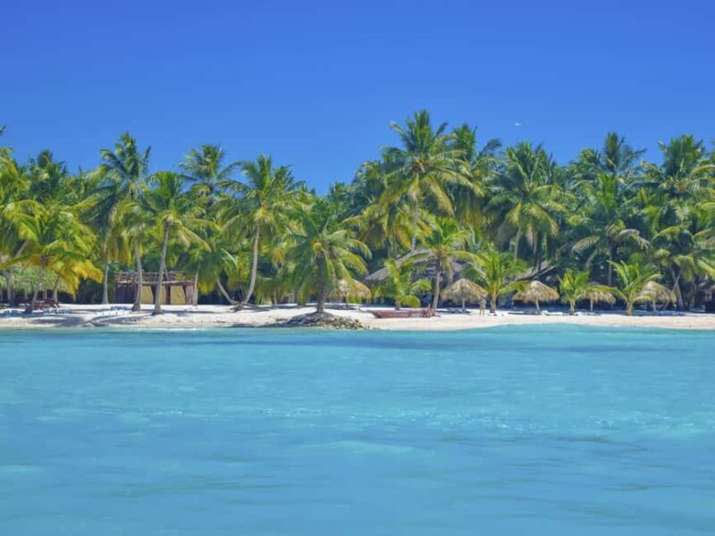 Punta Cana: Saona Island Day Trip with Blue Lagoon & Lunch - Authenticity and Cultural Touches