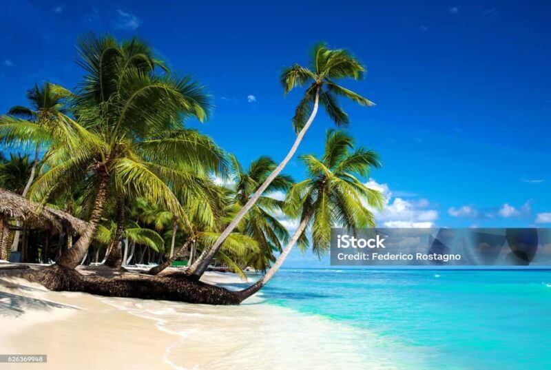 Punta Cana: Saona Island Day Trip with Catamaran Cruise - Who Would Love This Tour?