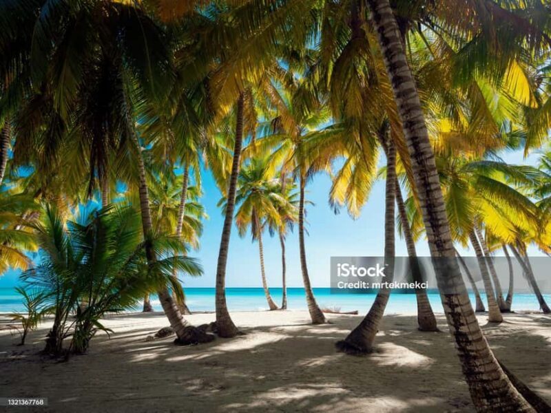 Punta Cana: Saona Island Day Trip with Catamaran Cruise - The Sum Up