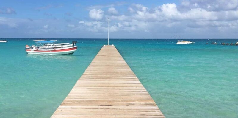 Punta Cana: Saona Island Day Trip with VIP Option - The Journey Begins: From Punta Cana to Saona Island