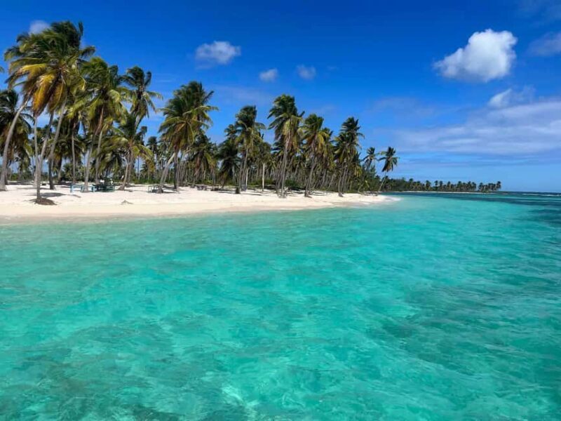 Punta Cana: Saona Island Full-Day Open Bar, Lunch & Transfer - Who Should Consider This Tour?