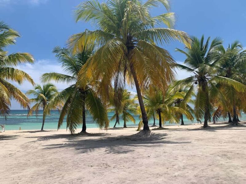Punta Cana: Saona Island Premium 3 beaches - Key Points