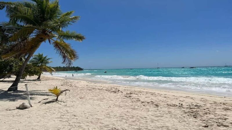 Punta Cana: Saona Island Speedboat Tour with Lunch - The Itinerary in Detail