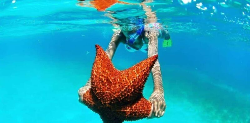 Punta Cana: Saona Island VIP Catamaran Tour with Lunch - Analyzing the Value