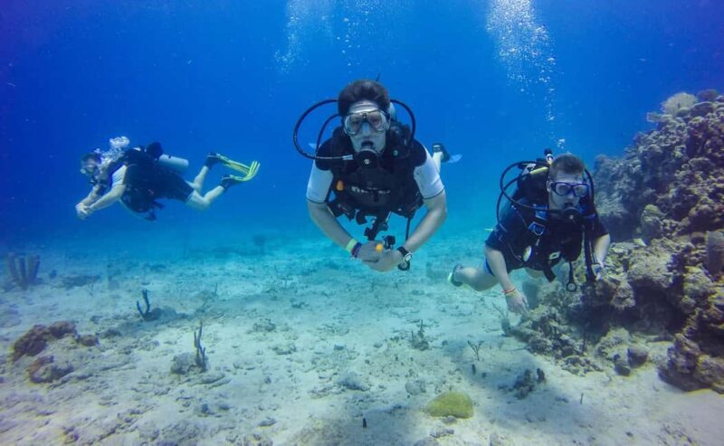 Punta Cana: Scuba Diving Adventure to Catalina Island - What Sets This Tour Apart
