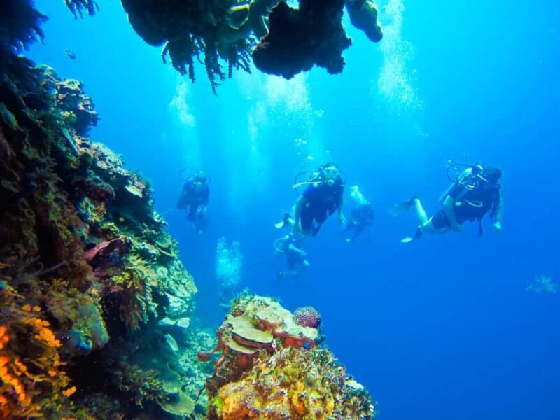 Punta Cana: Scuba Diving Adventure to Catalina Island - FAQ