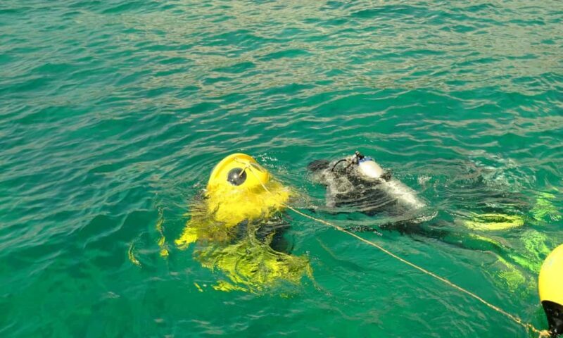 Punta Cana: Scuba Doo Adventure with Round-Trip Transfer - Cost and Value