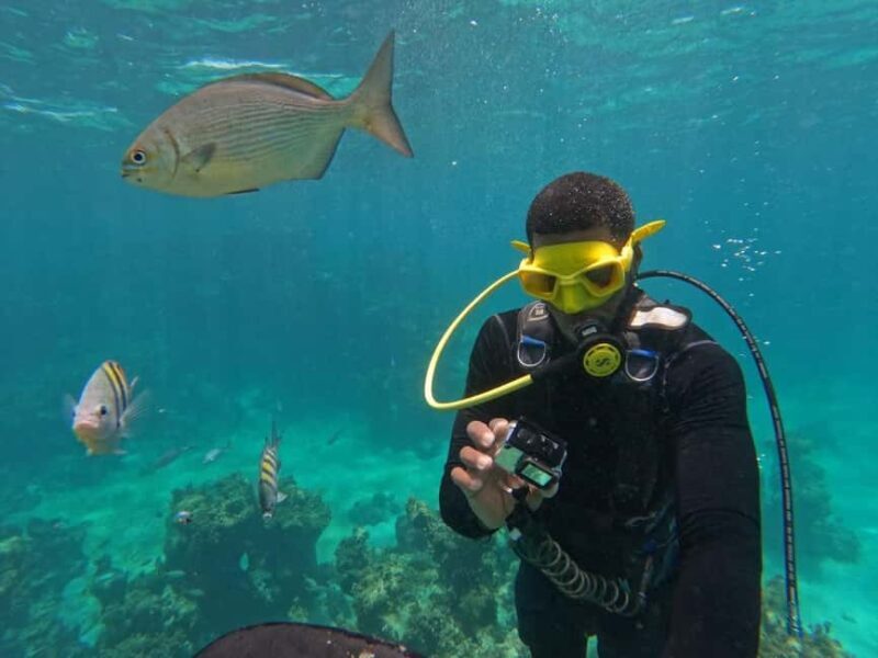 Punta Cana: Scuba Doo Adventure with Round-Trip Transfer - Authentic Experiences and Real Traveler Feedback