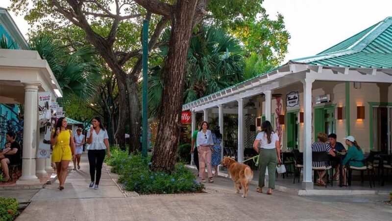 Punta Cana: Shopping Tour with Tastings and Hotel Pickup - What is this tour all about?