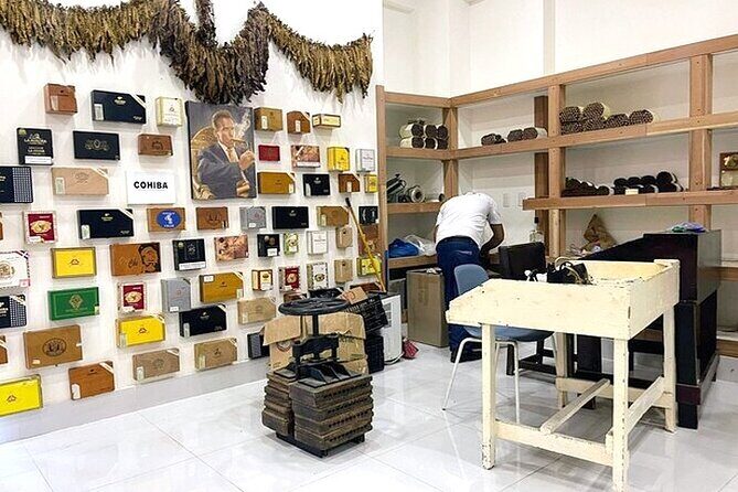 Punta Cana Souvenir Shopping Tour with Free Pickup - Who This Tour Is Best For