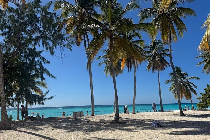 Punta Cana Speed Boat to Saona Island with Lunch & Natural Pools - Who Should Consider This Tour?
