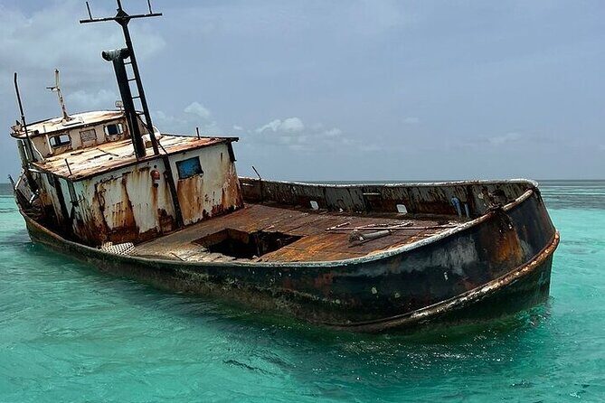 Punta Cana Speed Boat to Saona Island with Lunch & Natural Pools - Frequently Asked Questions