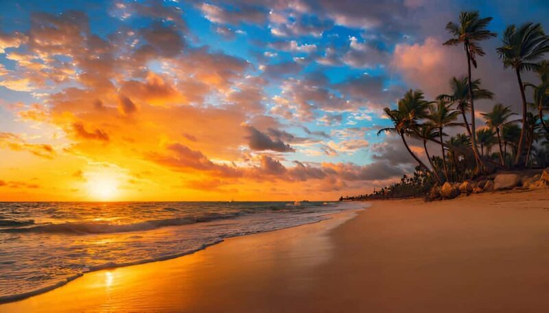 Punta Cana: Sunset Horseback Ride in Macao Beach and Forest - Practical Details and Value