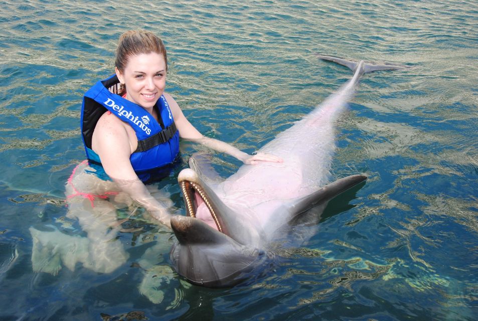 Punta Cana: Swim With Dolphins in the Pool - Health and Safety Restrictions
