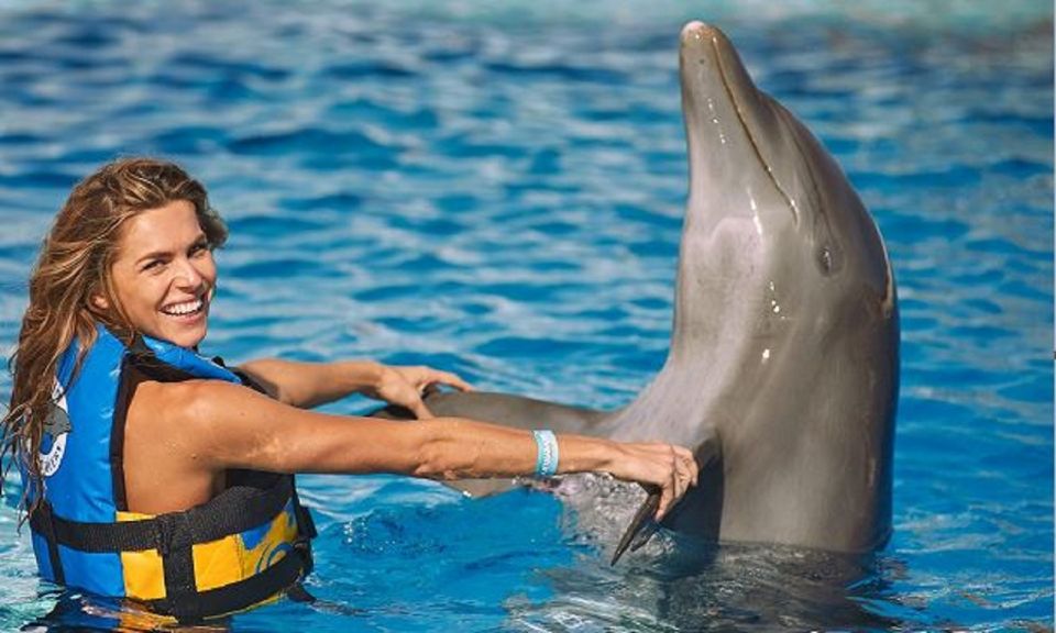Punta Cana: Swim With Dolphins in the Pool - What to Expect in the Water
