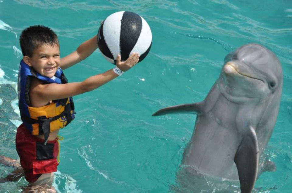 Punta Cana: Swim With Dolphins in the Pool - Frequently Asked Questions