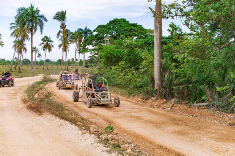 Punta Cana: Thrilling Off-Road Buggy Adventure - Key Points