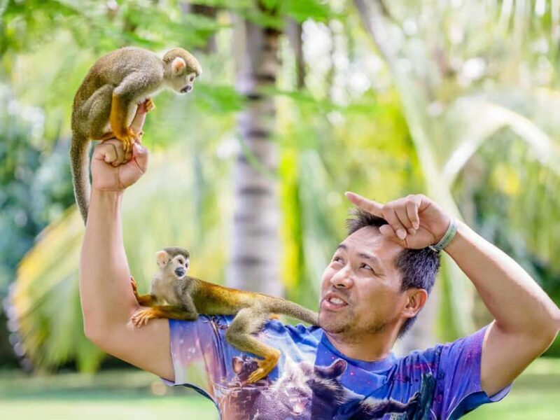 Punta Cana: Tour Monkey Adventure With Hotel Pick Up - Key Points