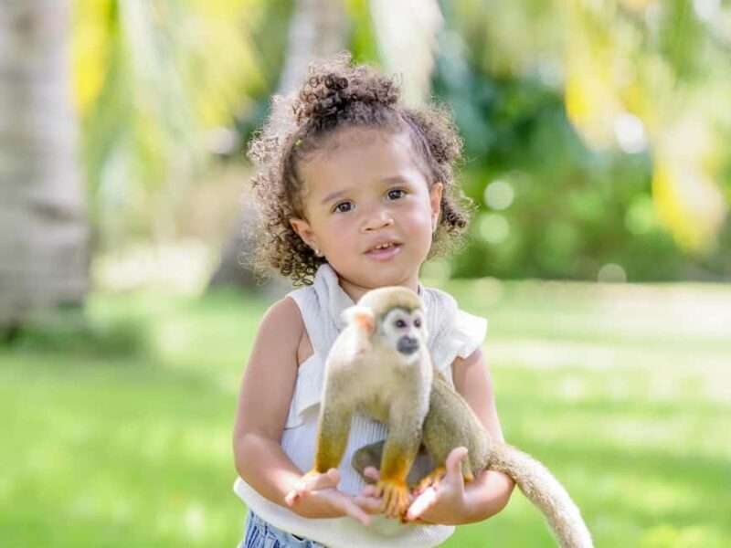 Punta Cana: Tour Monkey Adventure With Hotel Pick Up - The Sum Up: Who Should Consider This Tour?