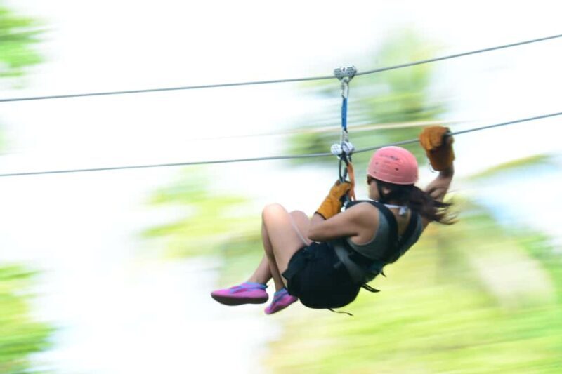 Punta Cana: Triple Jungle Adventure Park Tour with Tastings - Authentic Feedback: What Past Travelers Say