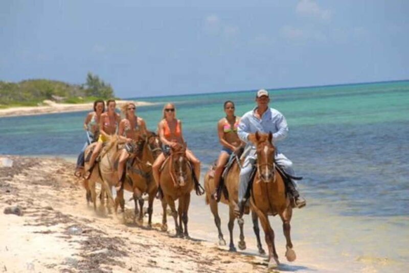 Punta Cana: Uvero Alto Beach Horseback Riding Tour - Key Points
