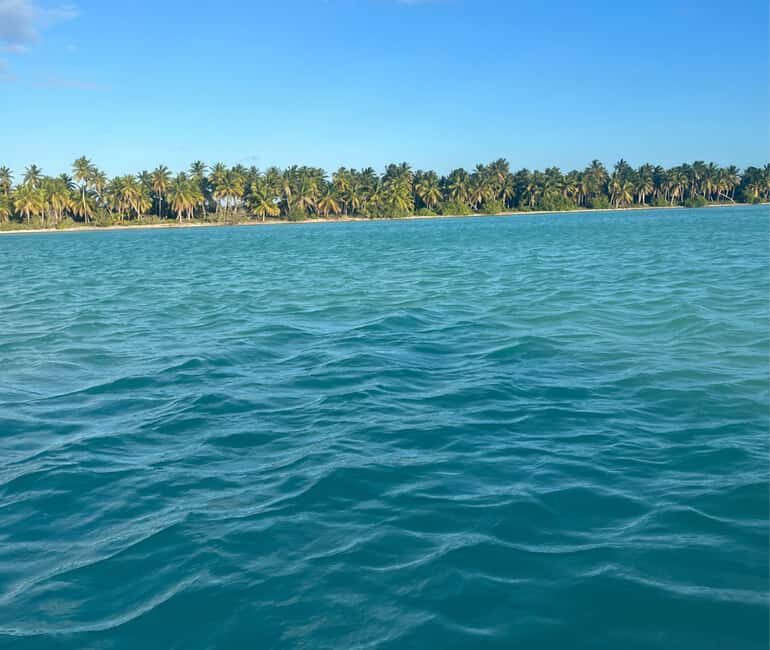 Punta Cana: VIP Private Speedboat Escape to Saona Island - Practical Details and Tips