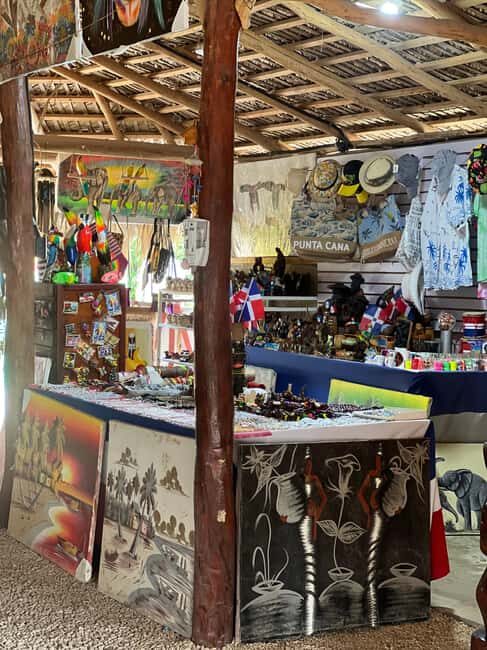 Punta Cana: Wild Off-Road Dune Buggy Adventure - The Experience and What It Means for You