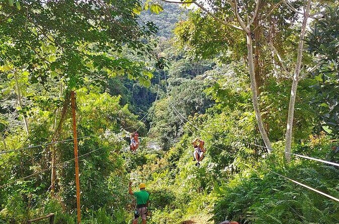 Punta Cana Zipline Adventure Soar Over the Caribbean Jungle - What Travelers Are Saying (Based on Reviews)