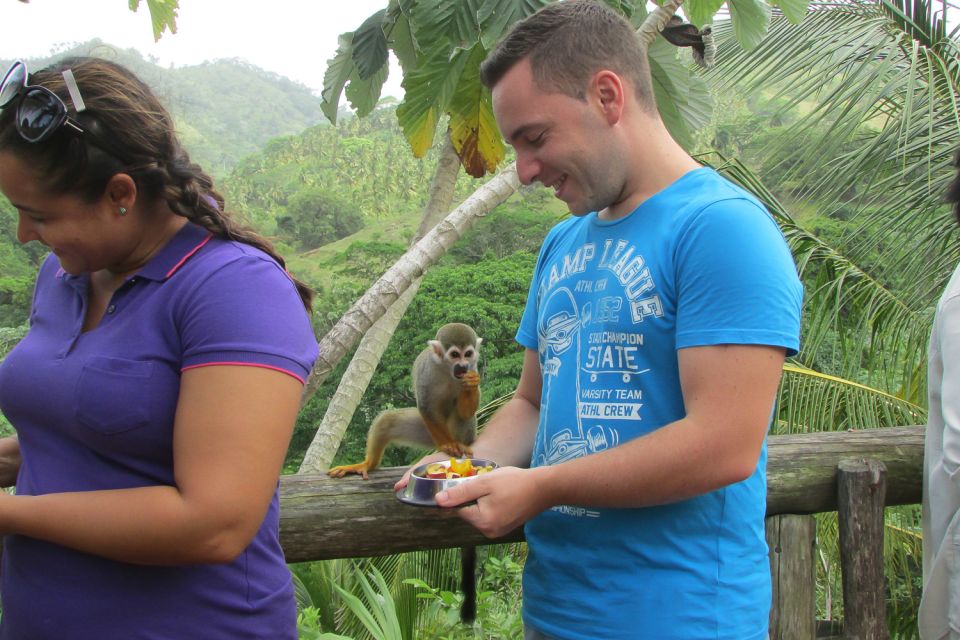 Punta Cana: Ziplines Adventures & Monkeyland Entry - Monkeyland Experience