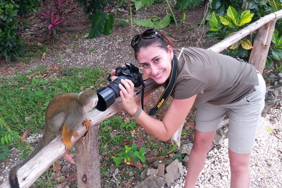 Punta Cana: Ziplines Adventures & Monkeyland Entry - Tour Inclusions