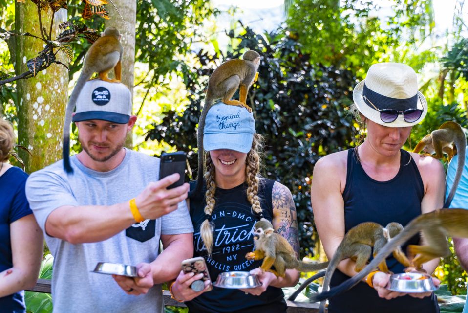 Punta Cana: Ziplines Adventures & Monkeyland Entry - Tour Restrictions