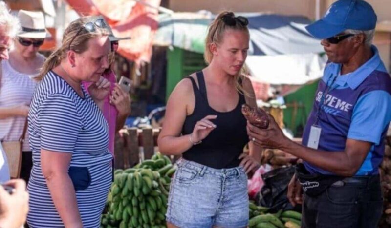 Punta Cana:Samaná Bay,Bacardí Island and El Limón Waterfall - Key Points