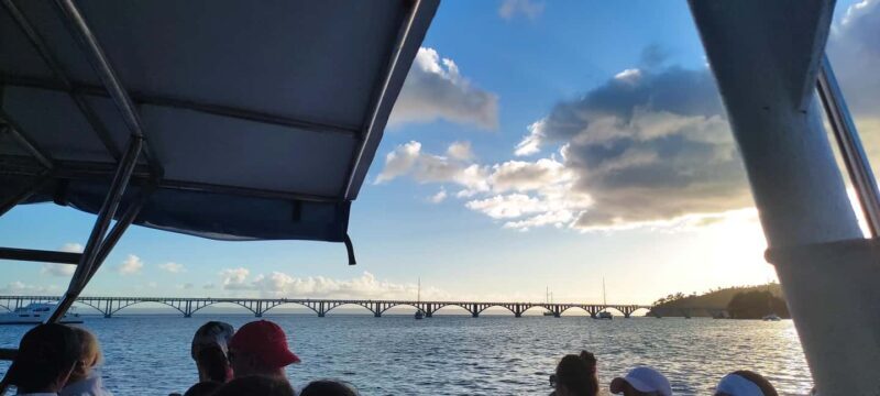 Punta Cana:Samaná Bay,Bacardí Island and El Limón Waterfall - The Sum Up