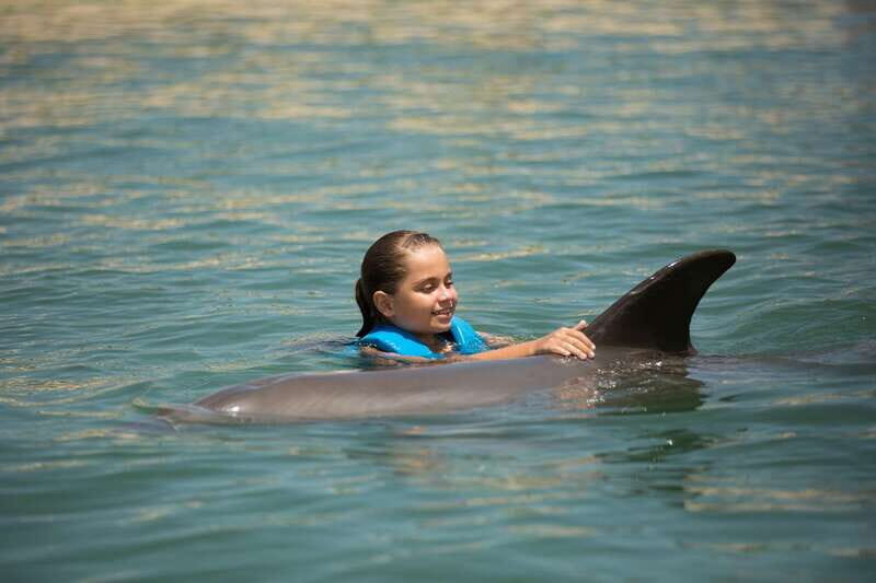 Punta Cancun: Swim with dolphins Harmony - Practical Tips for Travelers