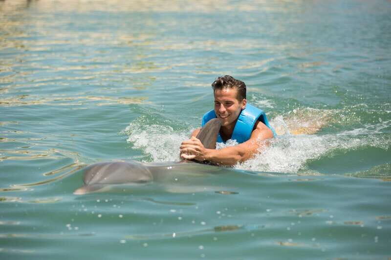 Punta Cancun: Swim with dolphins Interax - Key Points