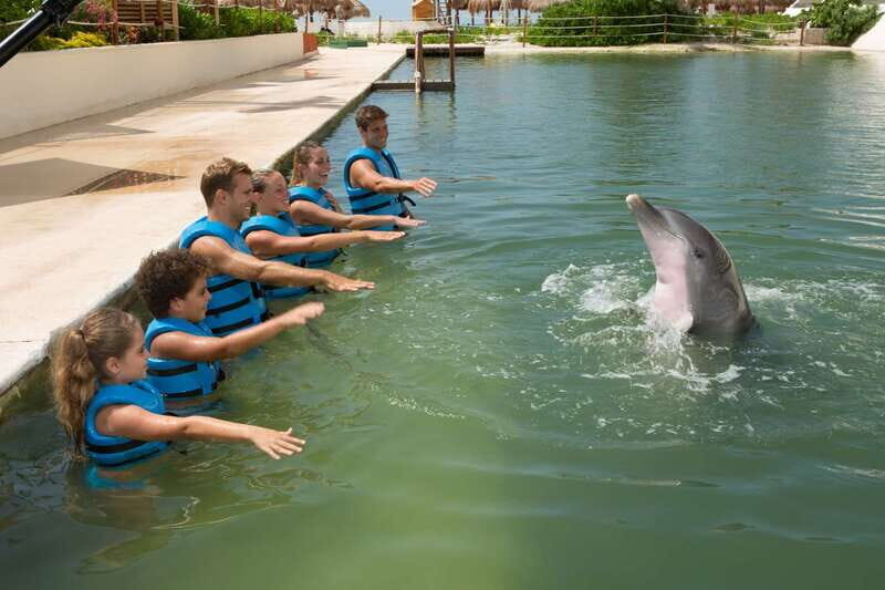 Punta Cancun: Swim with dolphins Primax - The Itinerary: What to Expect
