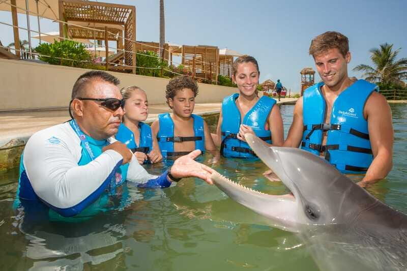 Punta Cancun: Swim with dolphins Primax - Who Will Love This Tour?