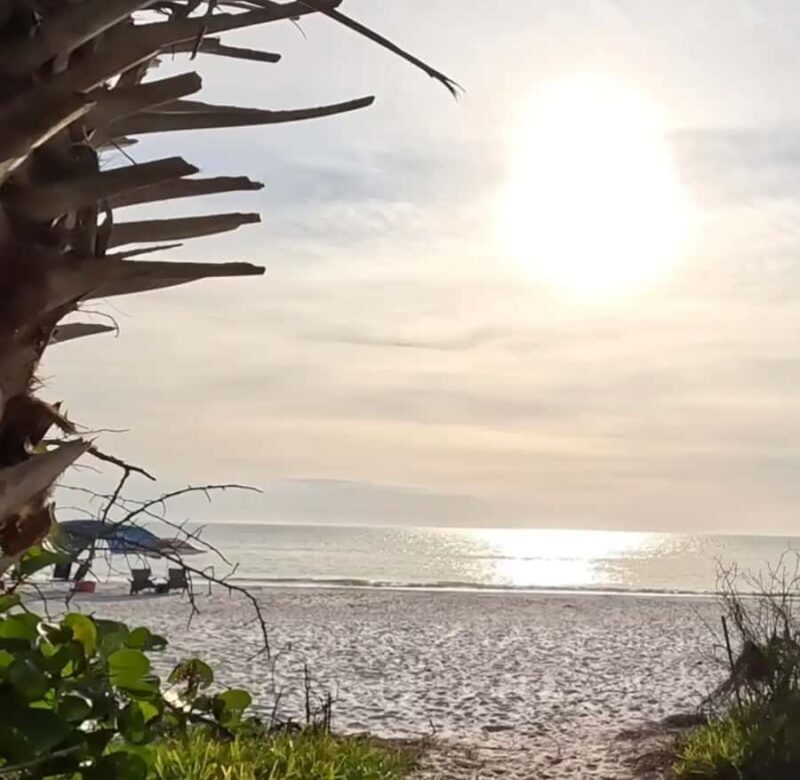 Punta Gorda: Gulf Coast Sunset Boat Tour - Detailed Breakdown of the Experience