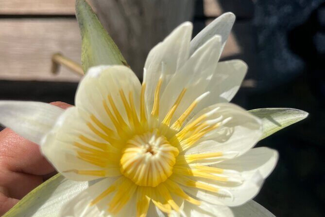 Punta Laguna Adventure with Mayan Ceremony - Authentic Experiences and Unique Highlights