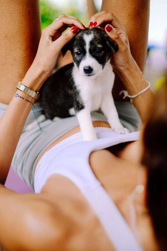 Puppy Yoga in Bali, Ubud  #1 Thing to Do in Bali - Key Points