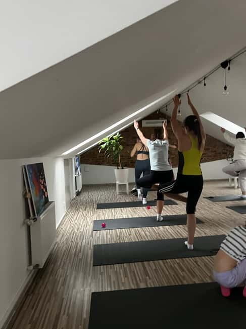 Puppy Yoga in Riga - Introduction