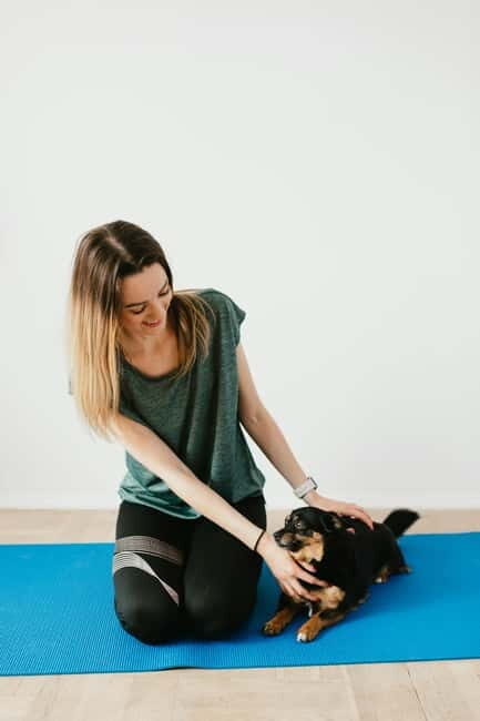 Puppy Yoga in Riga - Key Points