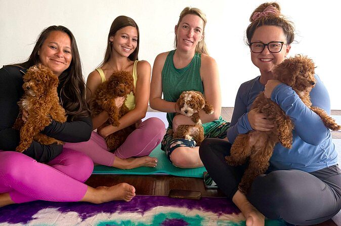 Puppy Yoga Private Groups - Analyzing the Cost and Value
