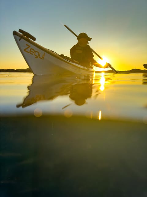 Purpose Paddling Midnight Kayak Tour - Booking Information