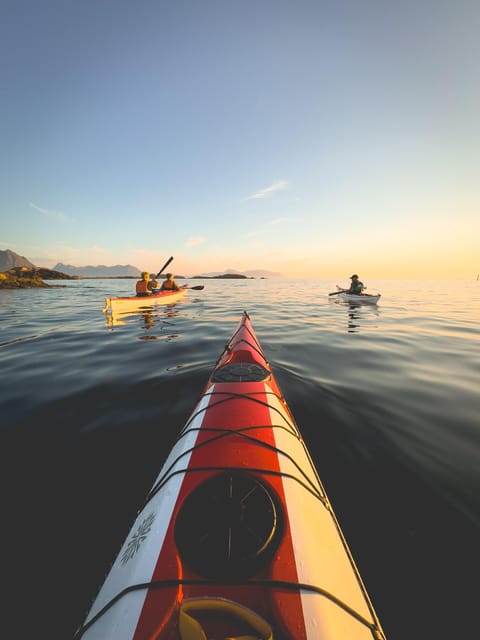 Purpose Paddling Midnight Kayak Tour - Itinerary Details
