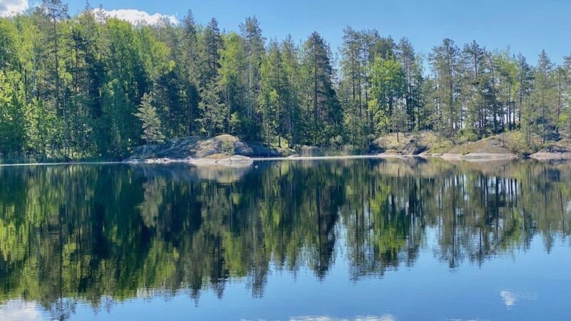 Puumala: Lake Saimaa Seal Watching Cruise - An In-Depth Look at the Puumala Seal Watching Cruise